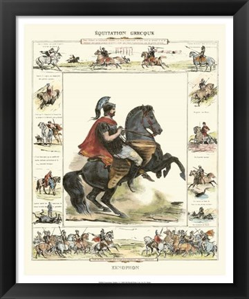 Framed Equestrian Display I Print