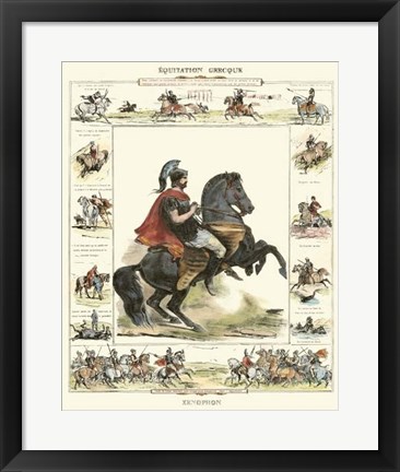 Framed Equestrian Display I Print