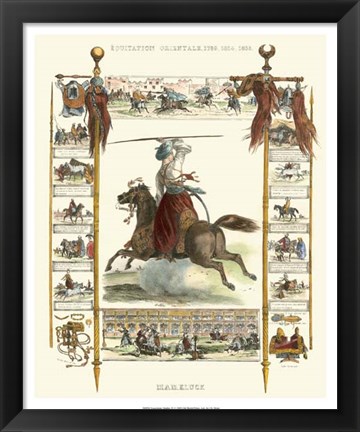 Framed Equestrian Display IV Print