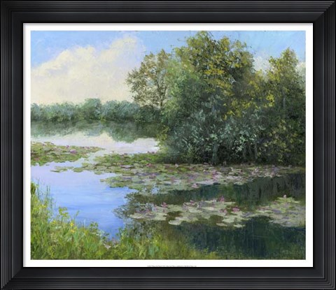 Framed Water Lily Pond Print