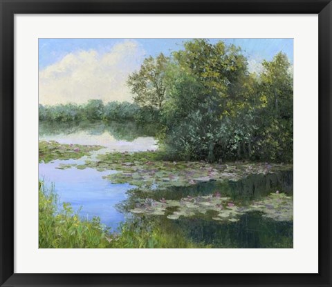 Framed Water Lily Pond Print