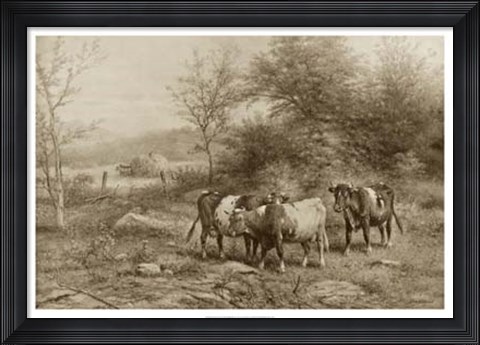 Framed Grazing Cattle Print