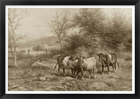 Framed Grazing Cattle Print