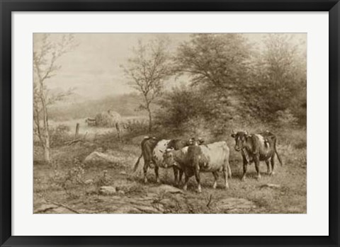 Framed Grazing Cattle Print