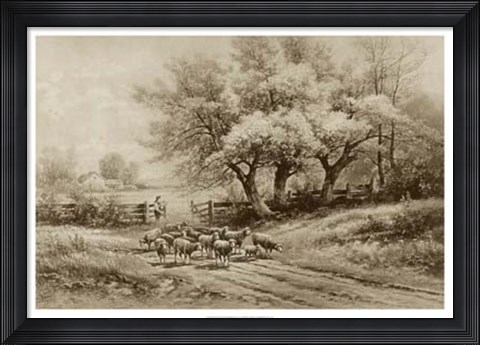 Framed Herding Sheep Print