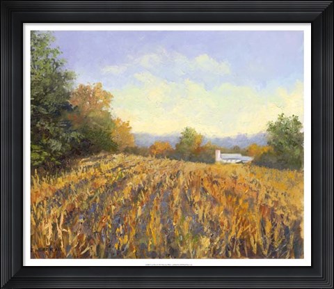 Framed Corn Rows Print