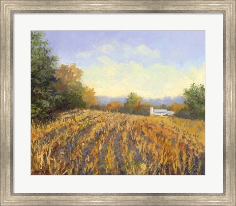 Framed Corn Rows Print