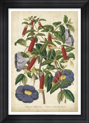 Framed Summer Medley I Print