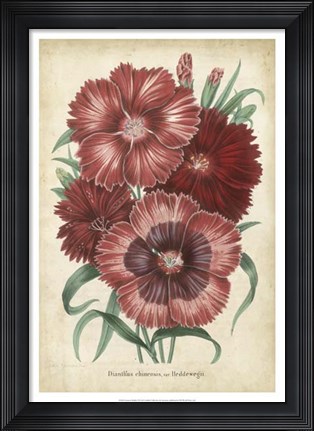 Framed Summer Medley II Print