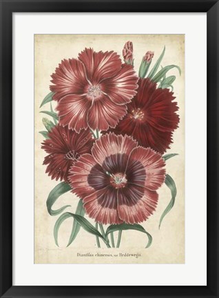 Framed Summer Medley II Print