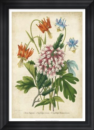 Framed Summer Medley VI Print