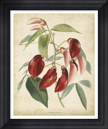 Framed Tropical Floral I Print