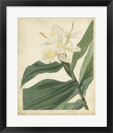 Framed Tropical Floral IV Print