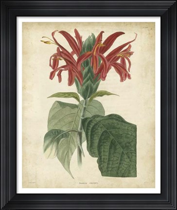 Framed Tropical Floral V Print