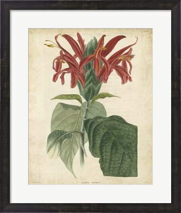 Framed Tropical Floral V Print