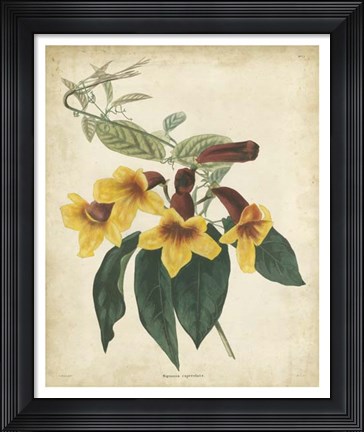 Framed Tropical Floral VI Print