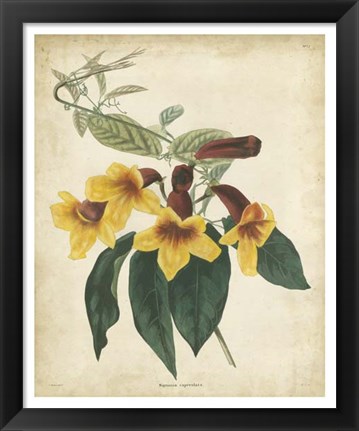 Framed Tropical Floral VI Print