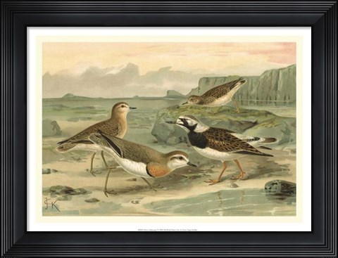 Framed Shore Gathering I Print