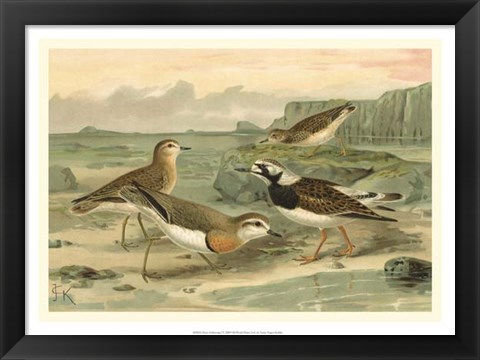 Framed Shore Gathering I Print