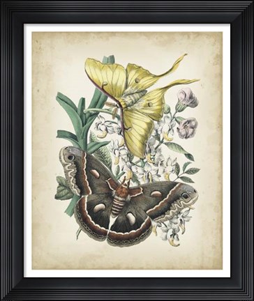 Framed Fanciful Flight I Print