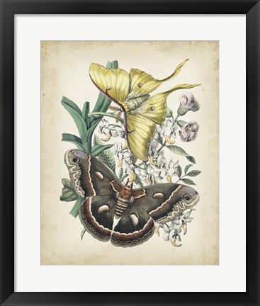 Framed Fanciful Flight I Print
