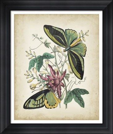 Framed Fanciful Flight II Print