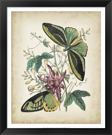 Framed Fanciful Flight II Print