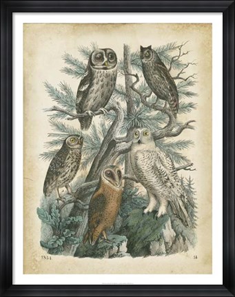 Framed Nature&#39;s Gathering III Print