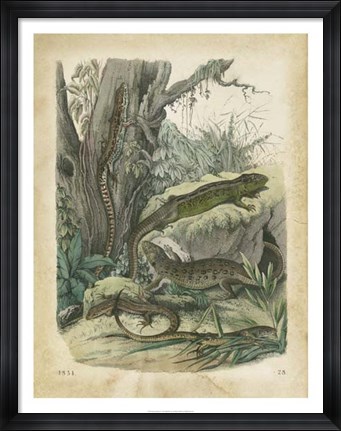 Framed Nature&#39;s Gathering V Print
