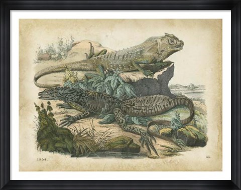 Framed Nature&#39;s Gathering VI Print