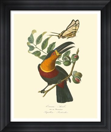 Framed Nature Jardin III Print