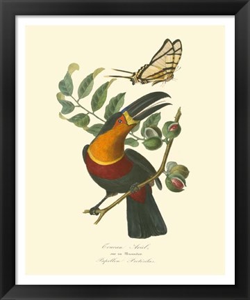 Framed Nature Jardin III Print