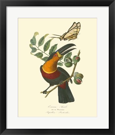 Framed Nature Jardin III Print