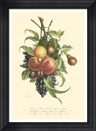 Framed Plentiful Fruits I Print