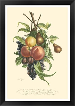 Framed Plentiful Fruits I Print