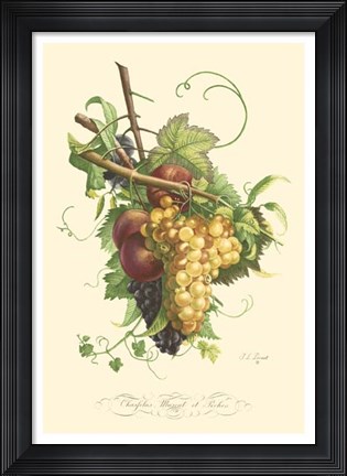 Framed Plentiful Fruits II Print