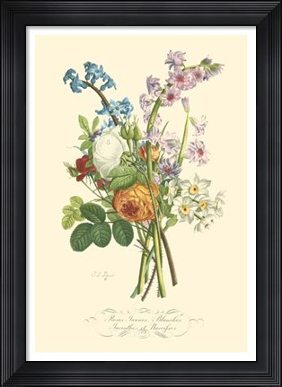 Framed Plentiful Bouquet IV Print