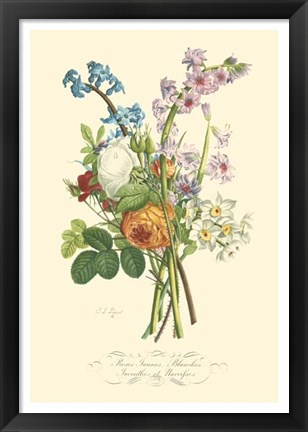 Framed Plentiful Bouquet IV Print