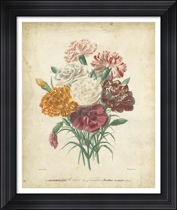 Framed Victorian Bouquet II Print