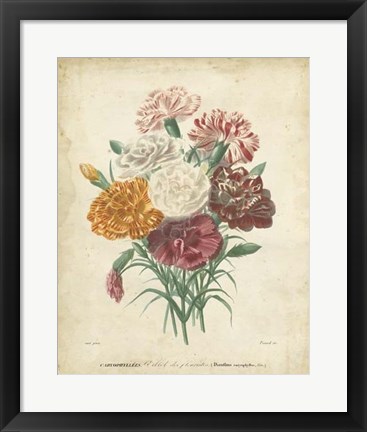 Framed Victorian Bouquet II Print