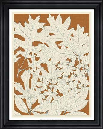 Framed Leaves from Nature II Print