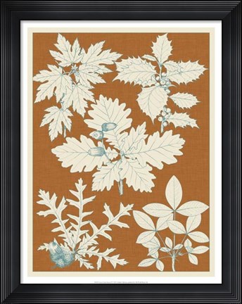 Framed Leaves from Nature IV Print