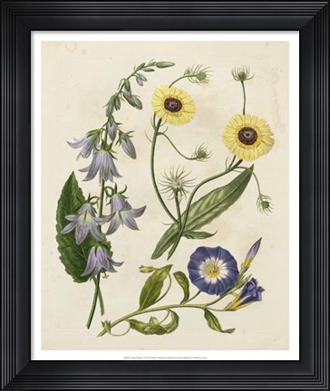Framed Garden Pairings V Print