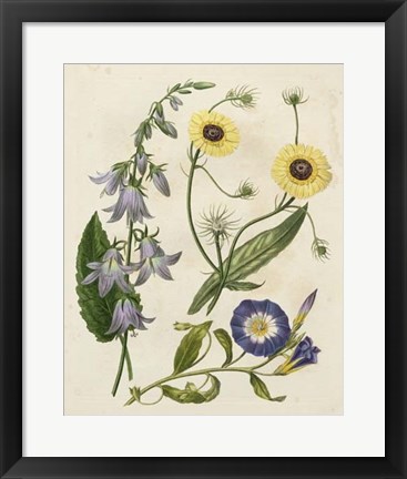 Framed Garden Pairings V Print