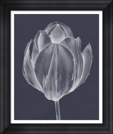 Framed Monochrome Tulip I Print