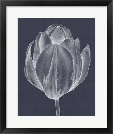 Framed Monochrome Tulip I Print
