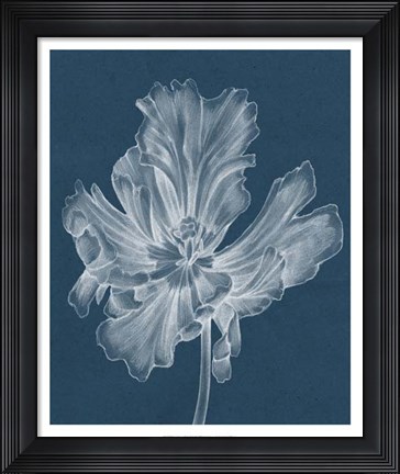 Framed Monochrome Tulip II Print
