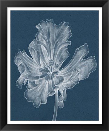 Framed Monochrome Tulip II Print