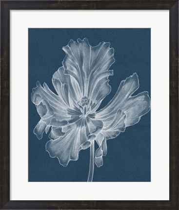 Framed Monochrome Tulip II Print