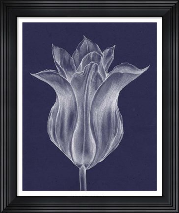 Framed Monochrome Tulip III Print